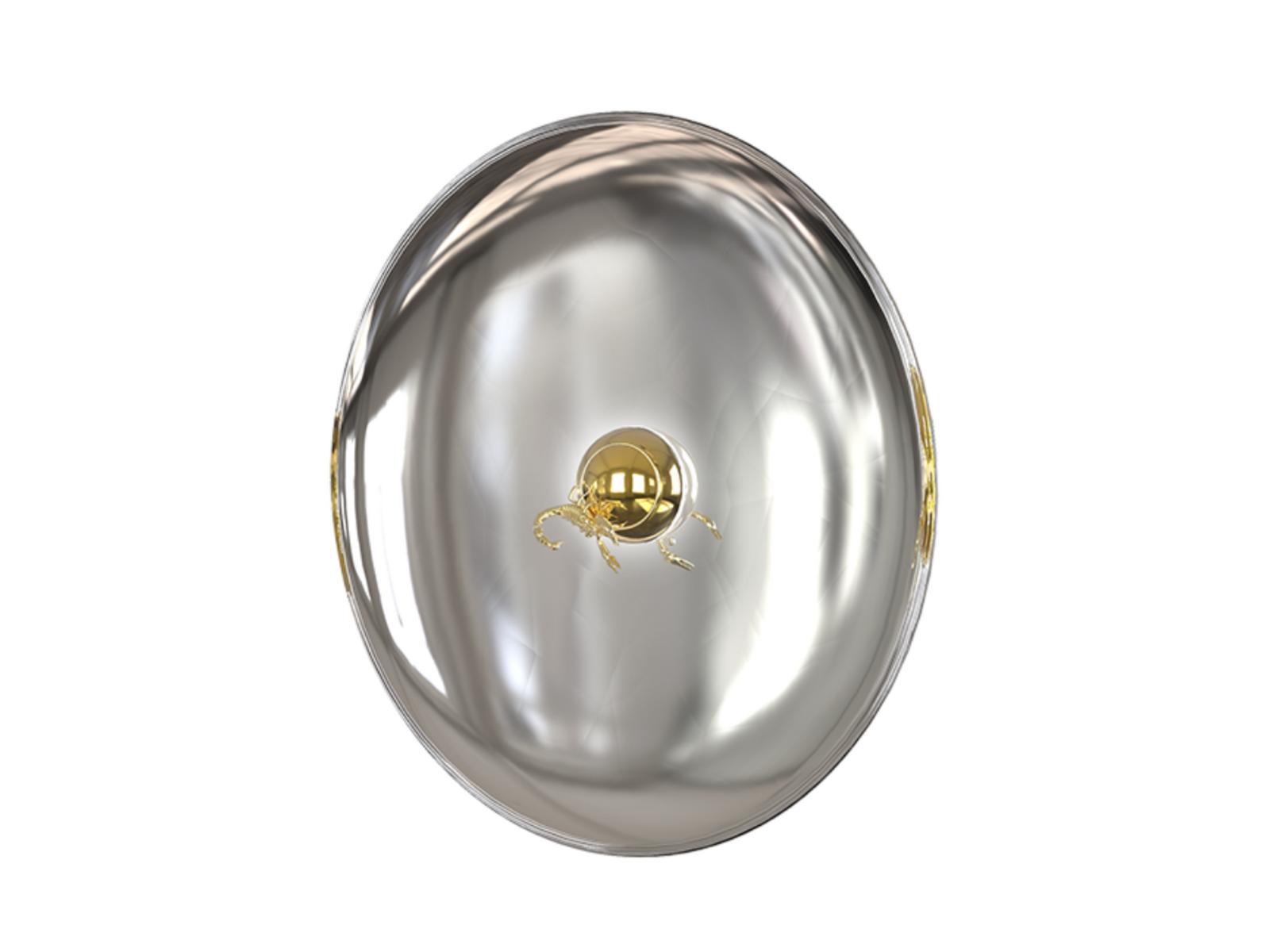 METAMORPHOSIS Wall-mounted stainless steel mirror with integrated lighting