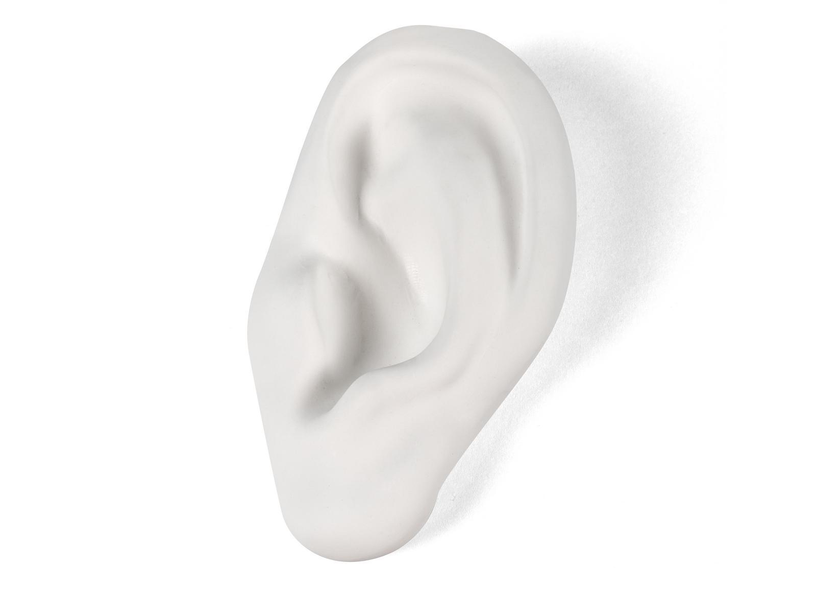 EAR Porcelain decorative object