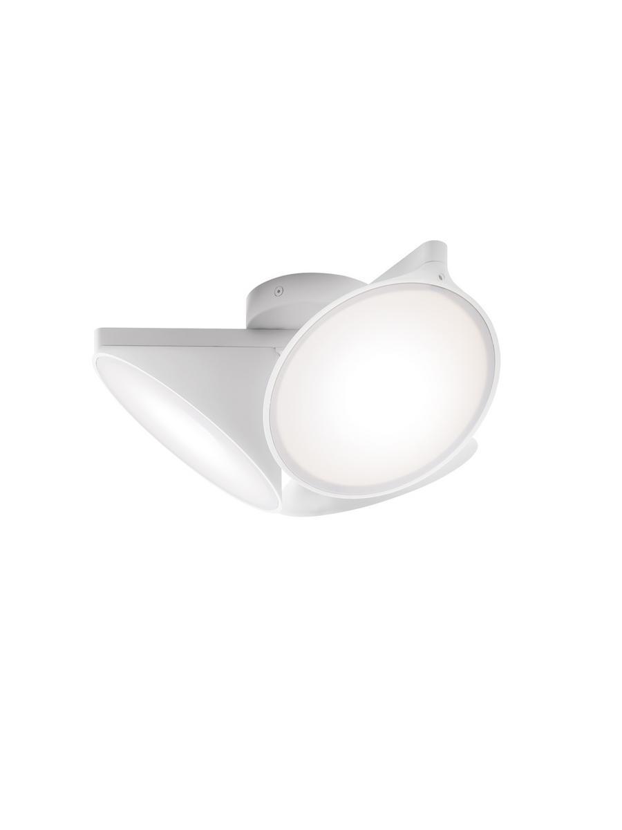 ORCHID LED aluminium ceiling light