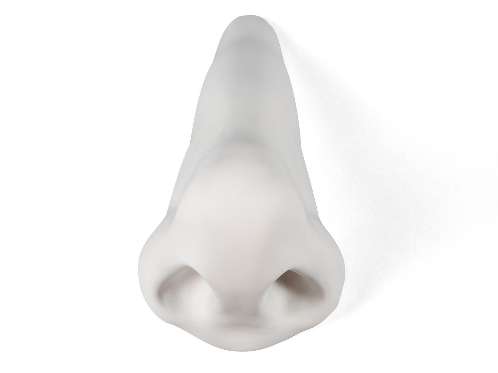 NOSE Porcelain decorative object