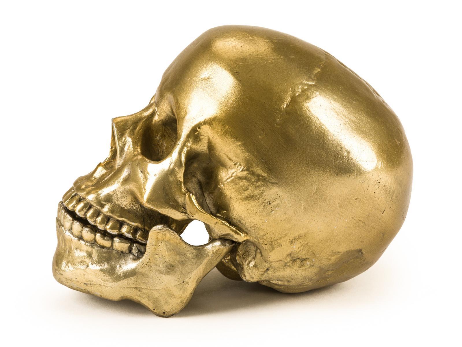 HUMAN SKULL Aluminium decorative object