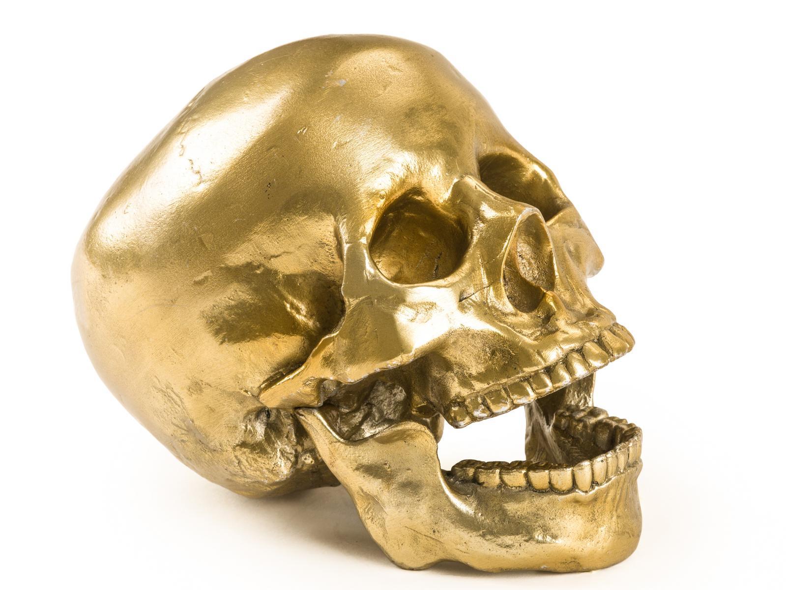 HUMAN SKULL Aluminium decorative object