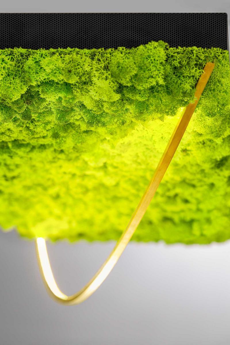 GREEN SILENCE LED Lichen pendant lamp