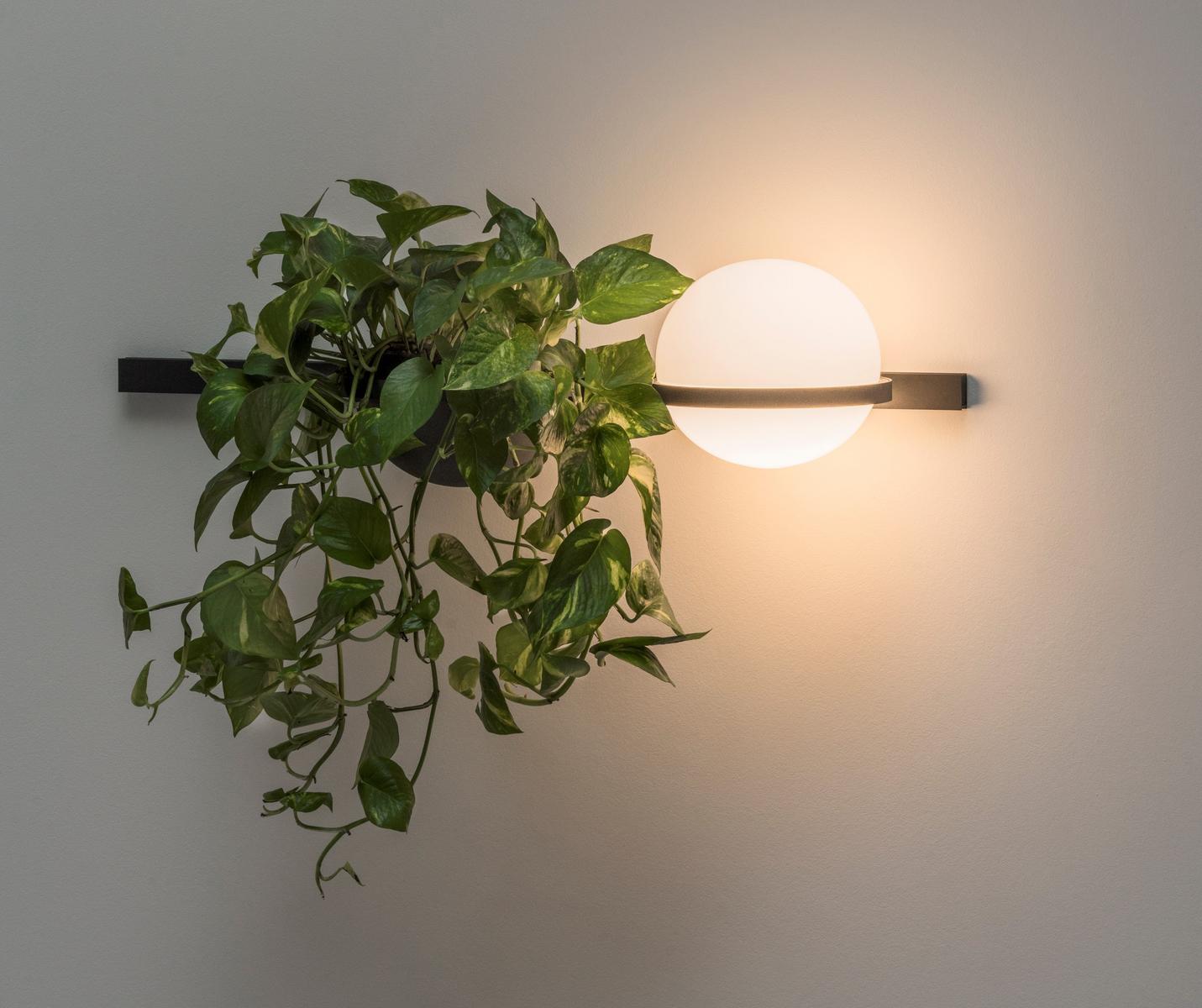 PALMA LED blown glass wall lamp