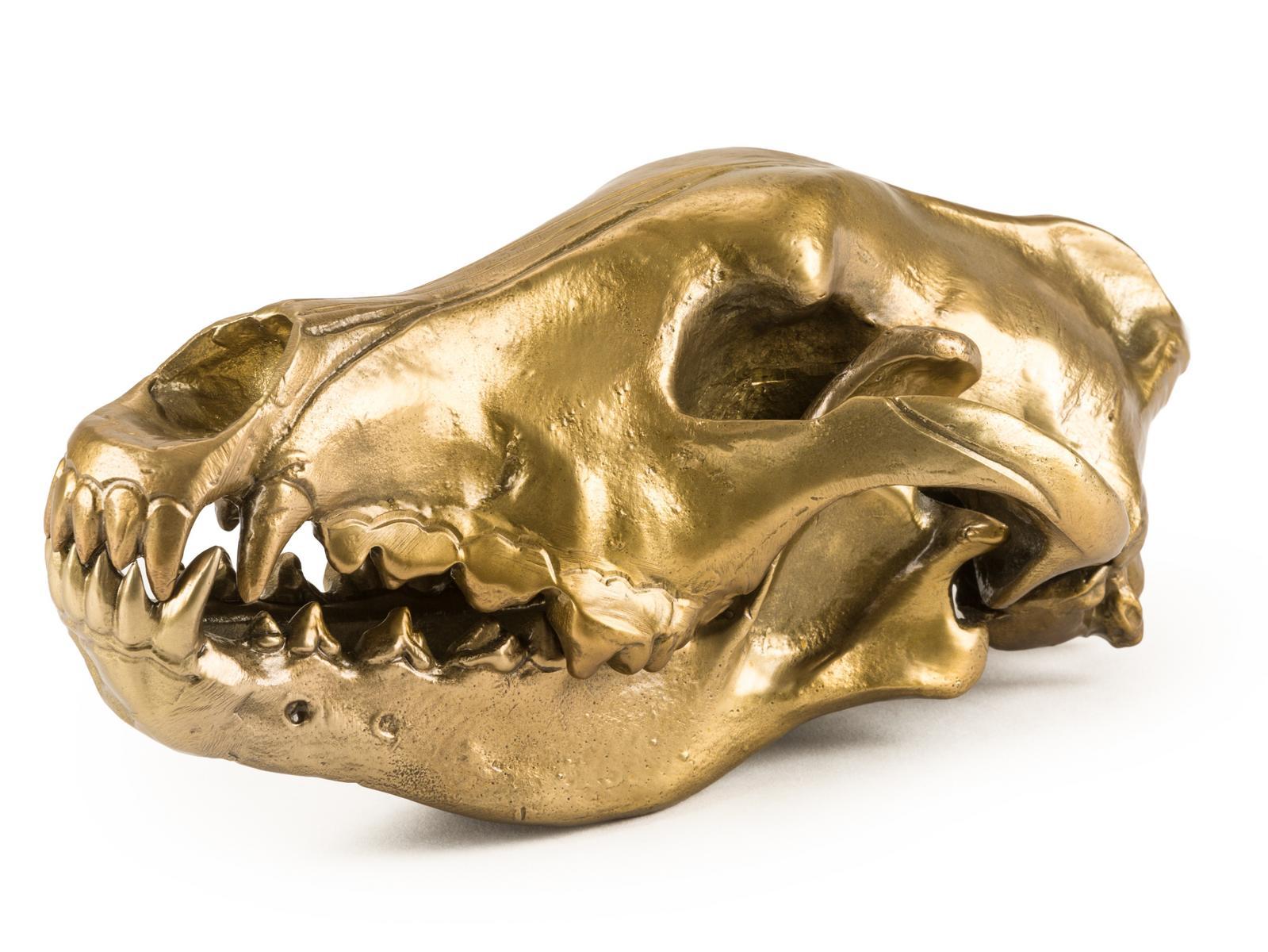 WOLF SKULL Aluminium decorative object