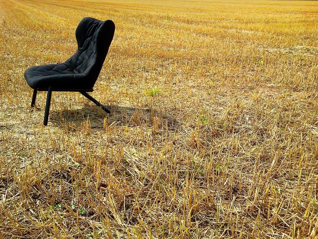 FOLIAGE Velvet armchair