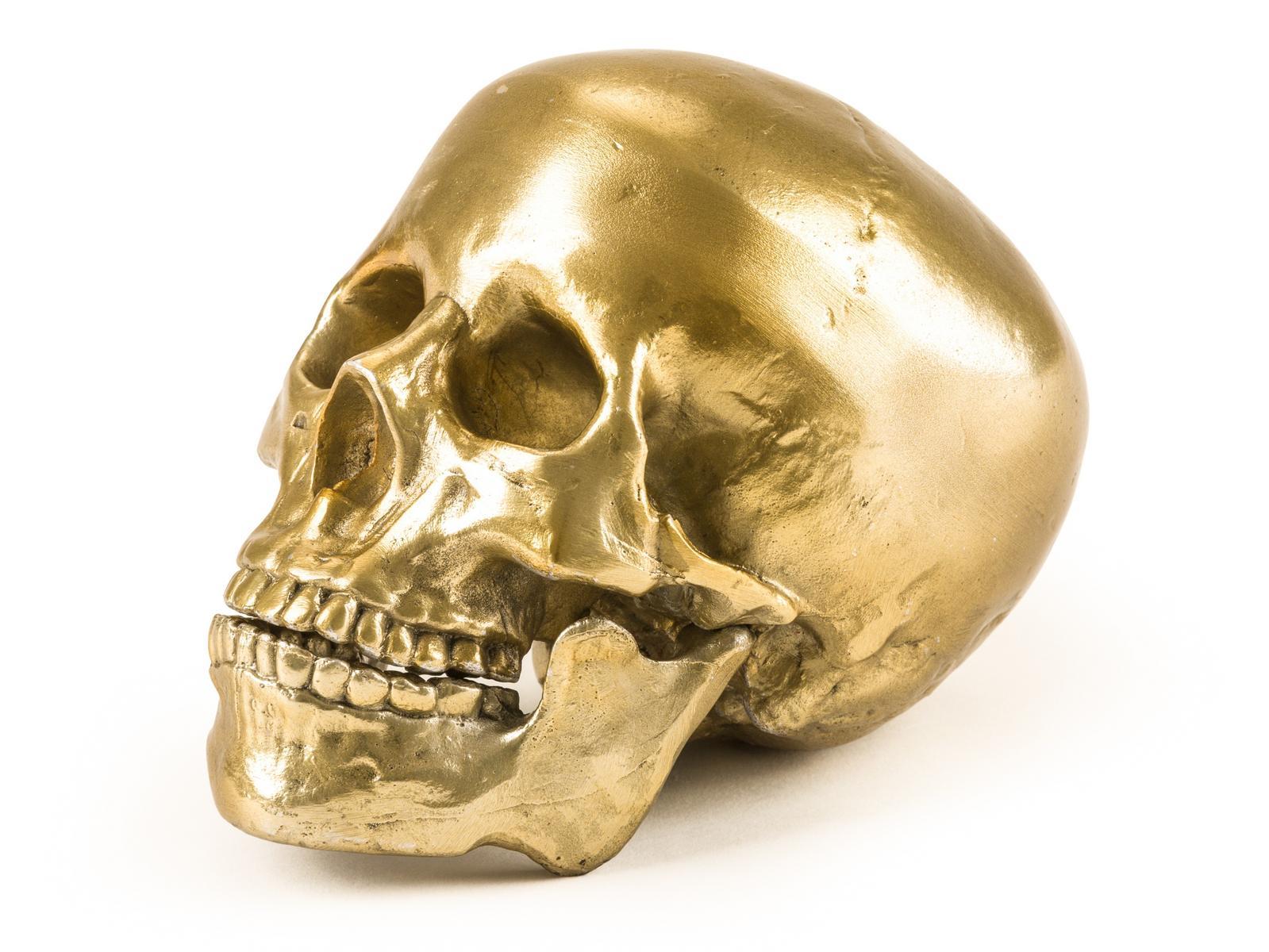 HUMAN SKULL Aluminium decorative object