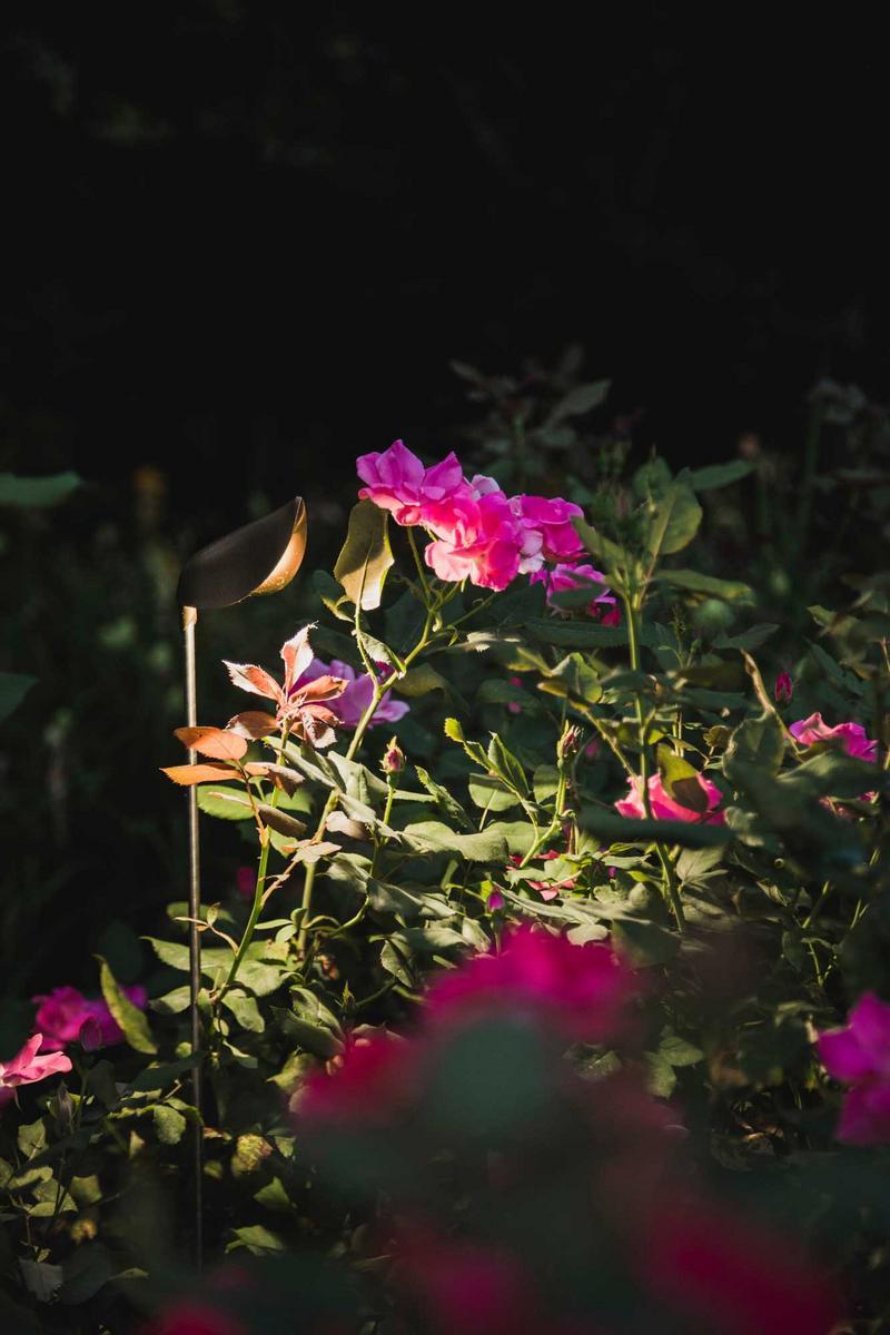 ZOE LED outdoor lamp ZOE LED outdoor lamp