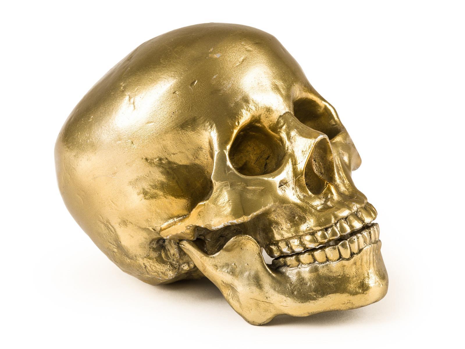 HUMAN SKULL Aluminium decorative object