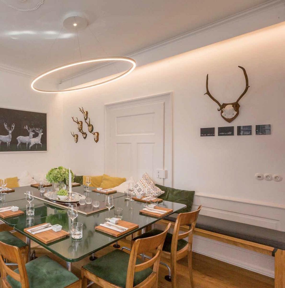 SLIM ELLIPSE LED aluminium pendant lamp