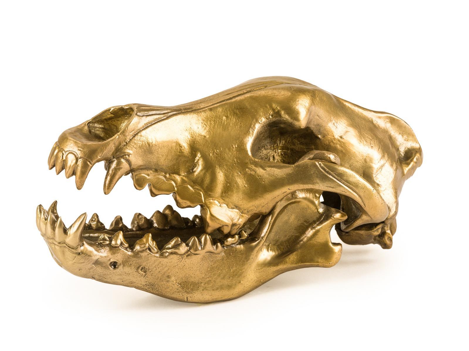 WOLF SKULL Aluminium decorative object