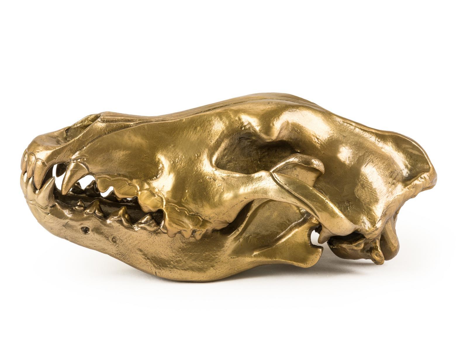 WOLF SKULL Aluminium decorative object