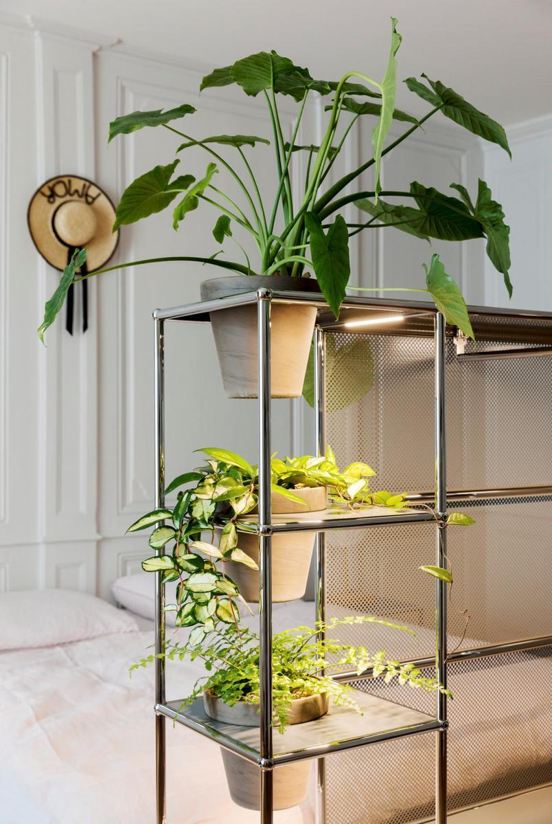 WORLD OF PLANTS FOR HALLER Sectional wardrobe